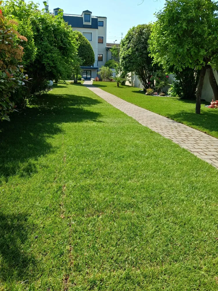 Entretien de jardin à Maisons